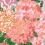 Papel pintado Cottage Season Paper Pêche PP-S2405