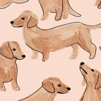 Papel pintado Teckels
