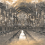 Papel pintado panor&aacute;mico Harry Potter 320 Londonart Réglisse WBHP320-2