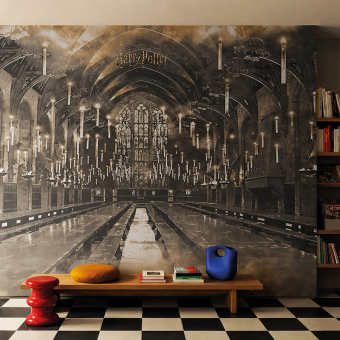 Papel pintado panorámico Harry Potter 320