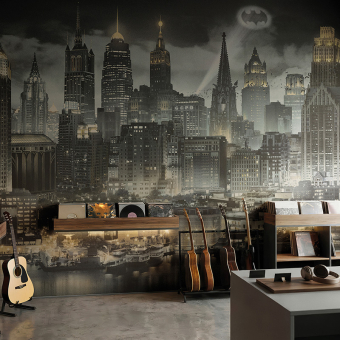 Papel pintado panorámico DC Universe 501