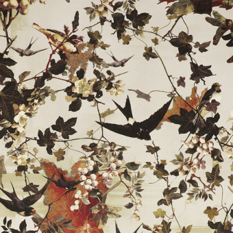 Papel pintado Golondrina