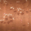 Papel pintado panor&aacute;mico Summer Chocolate Wall&dec&ograve; Ocre WDSC2601