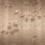 Papel pintado panor&aacute;mico Summer Chocolate Wall&dec&ograve; Beige WDSC2602