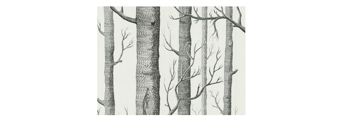 Papeles pintados forêts