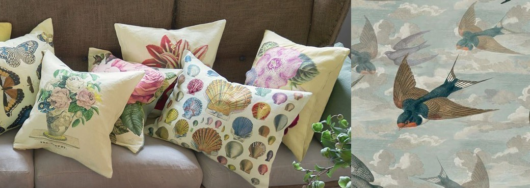 John Derian - Colecci&oacute;n  Picture Book Prints